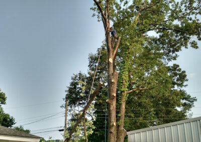 Land Clearing Removal Texarkana AR