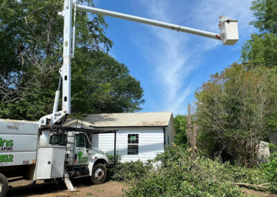 Seasonal Cleanups Removal Texarkana AR