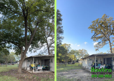 Tree Removal Hope AR