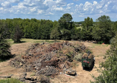 Tree Removal Magnolia AR