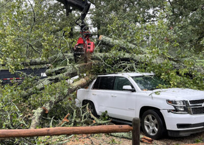 Tree Removal Nash TX