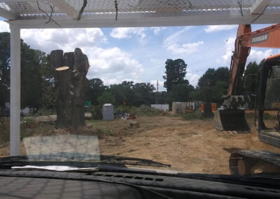 Tree Removal New Boston AR