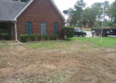 Tree Removal Removal Texarkana AR