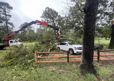 Tree Removal Wake Village TX