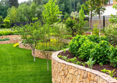 Tree Services Nash TX
