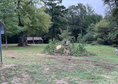 Tree Services Wake Village TX