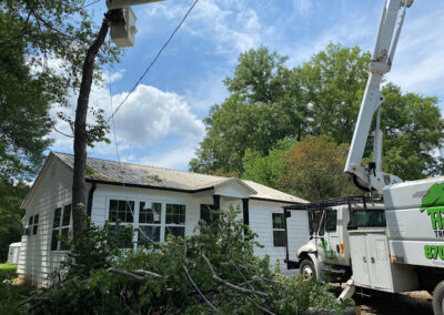 Tree Trimming Services Texarkana AR