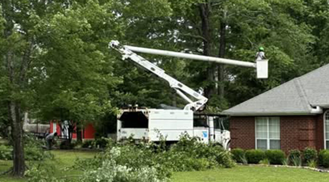 Top Benefits of Tree Trimming in Hope, Arkansas