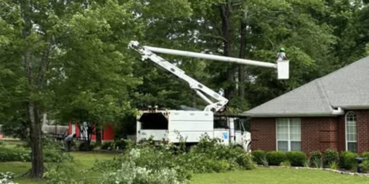 benefits of tree trimming