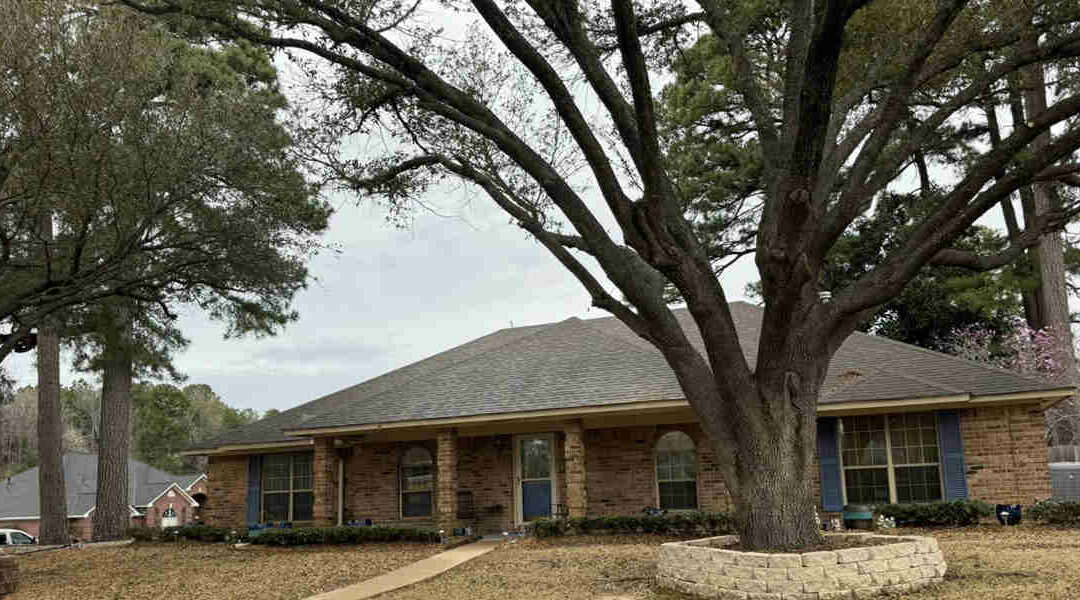 Can Mulch Attract Termites in Magnolia, AR?