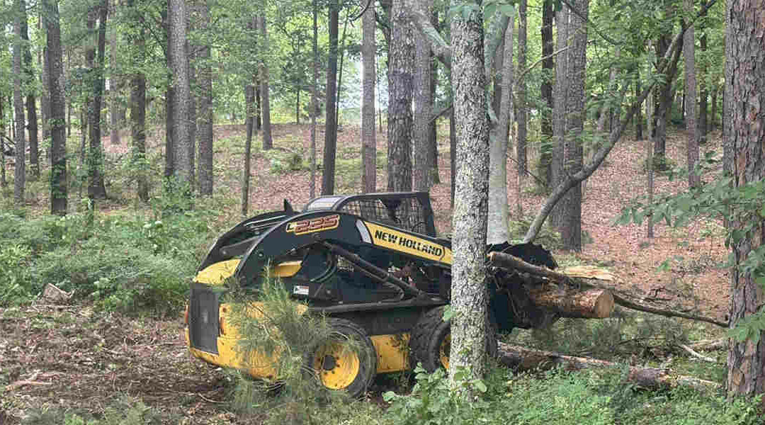 How Does Clearing Land Increase Your Property Value? Guide for Texarkana Residence