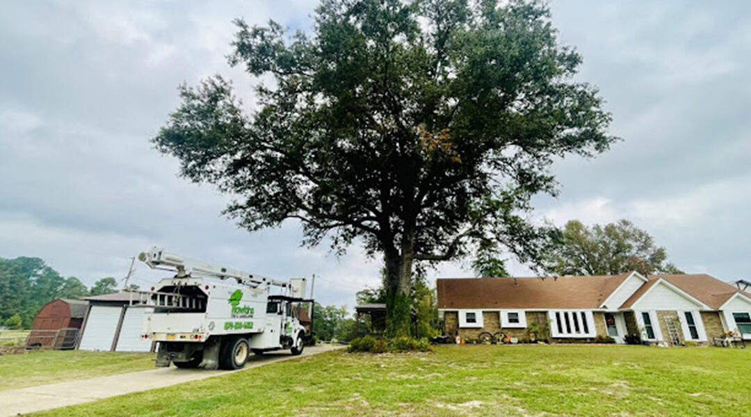 Why Regular Lawn Cleanup Boosts Curb Appeal and Home Value
