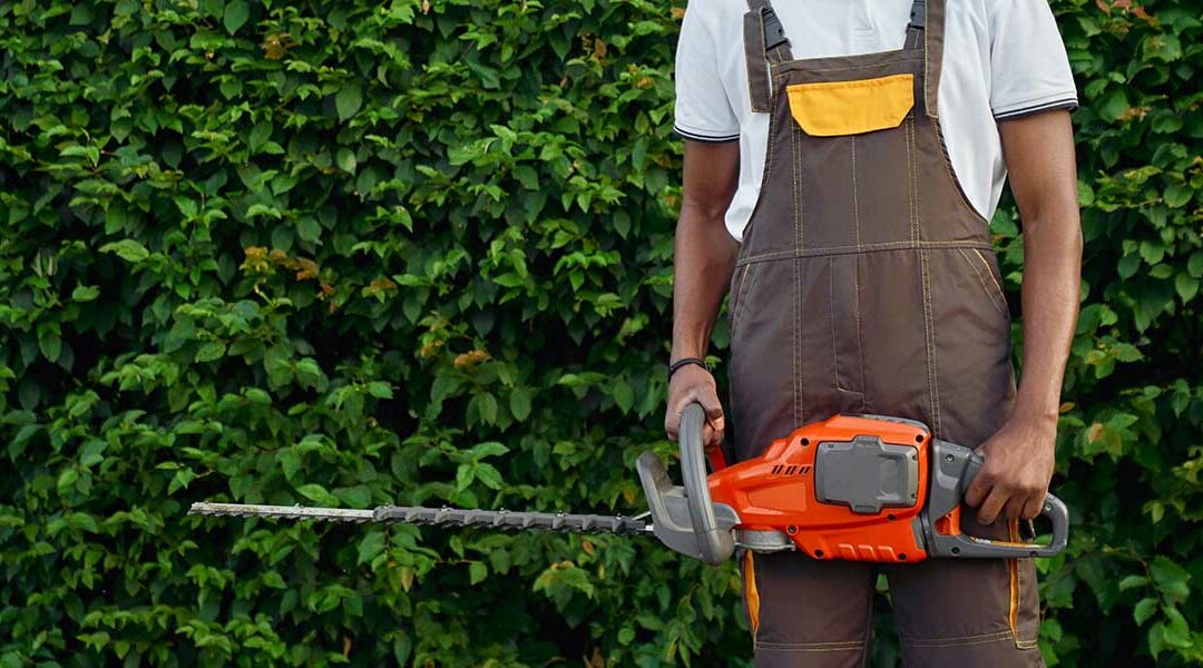7 Pruning Mistakes To Avoid