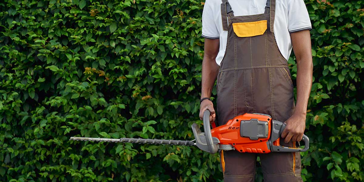 pruning mistakes