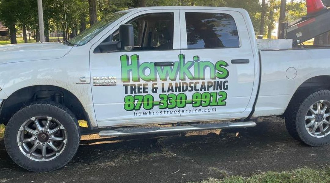 Can I Use A Power Washer to Remove Moss From Driveway?