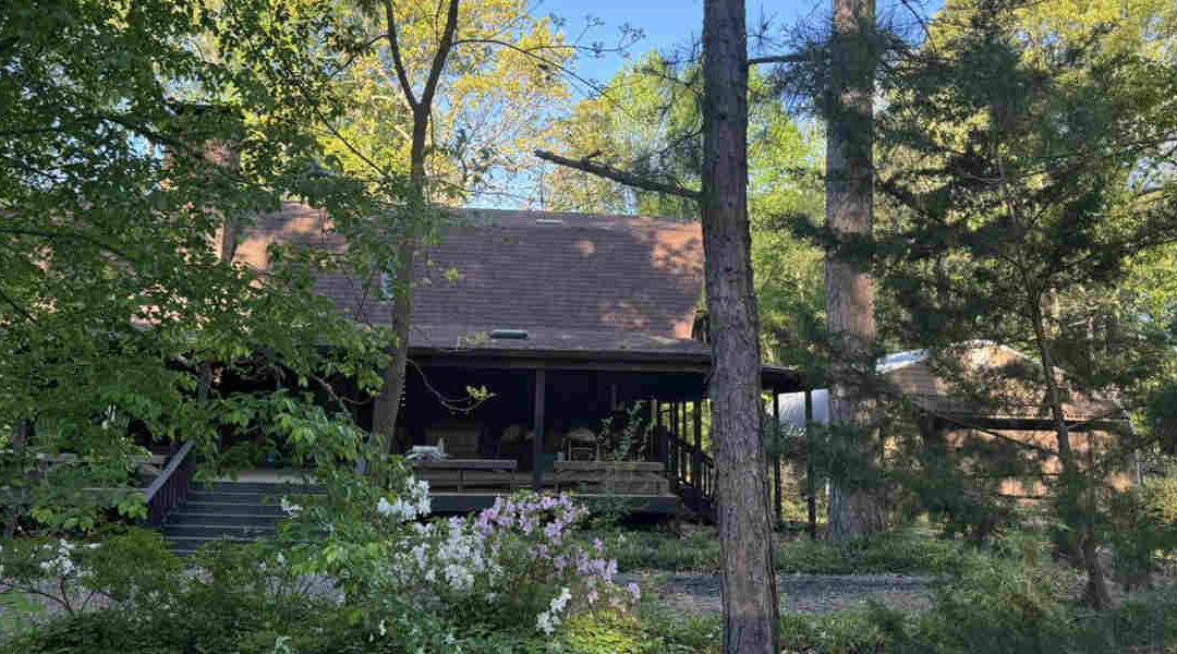 Should You Let Grass Grow Around Trees in Hope, AR?