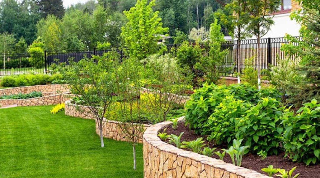How to Water Newly Planted Trees in Texarkana, AR