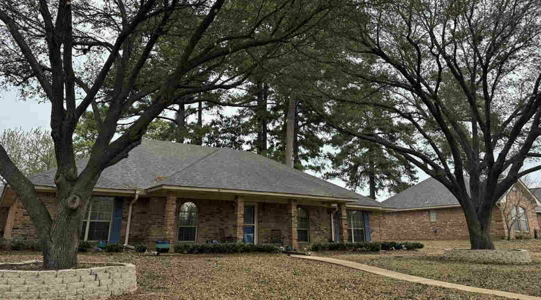 What Is Vertical Mulching, and How Does It Help Trees?